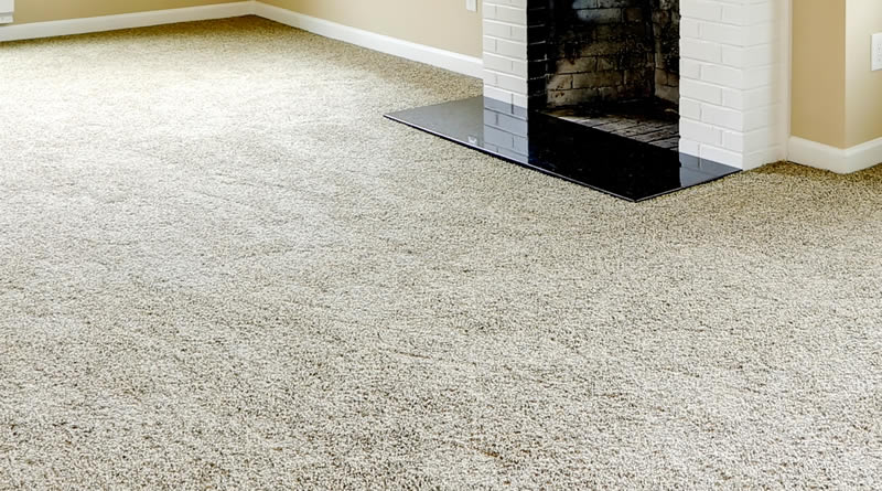 Essential Tools and Materials for Carpet Installation in Ottawa