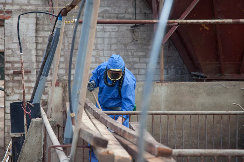 Essential Tips for Asbestos Removal in Ontario